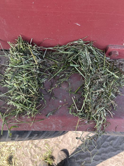 Strautmann super vitesse 1DO 12t