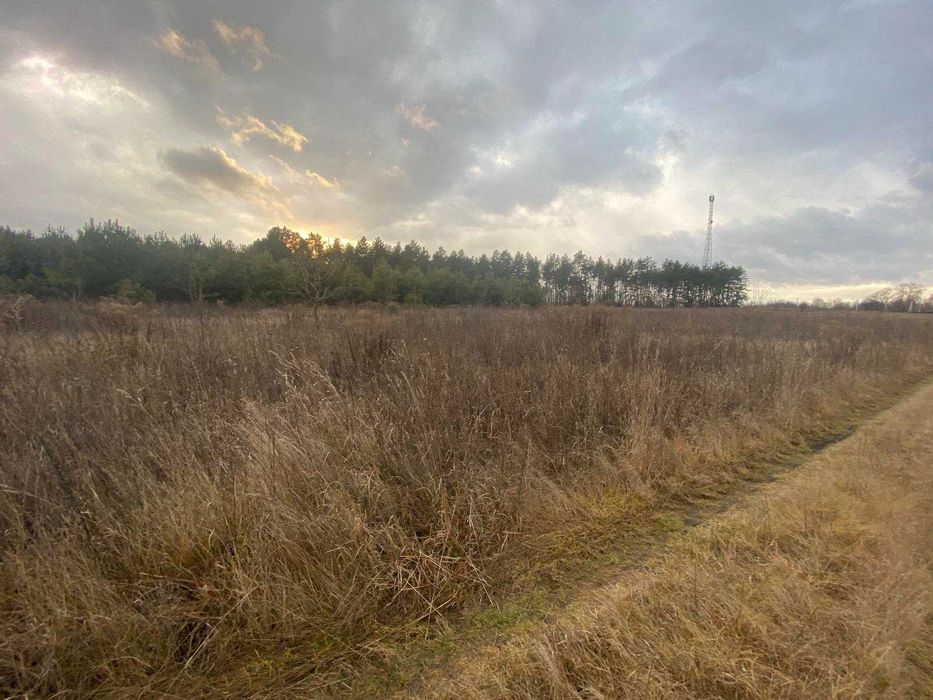 продам земельну ділянку с. Жереб’ятин (с.Жовтневе) Бориспільський р-н - View 5