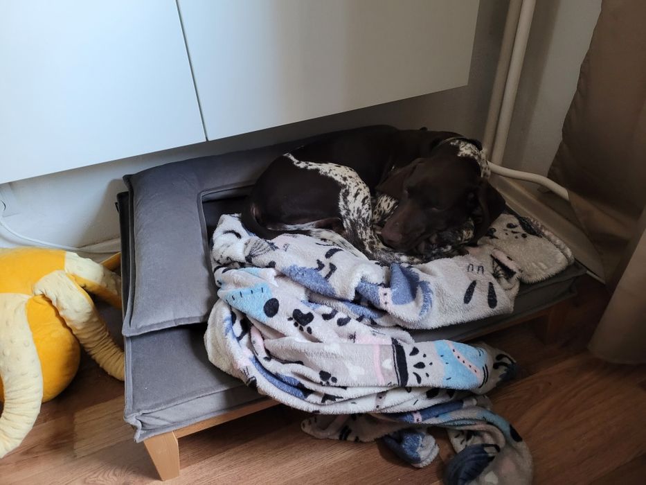 Używane legowisko Hectolove Duo Tierra rozmiar M