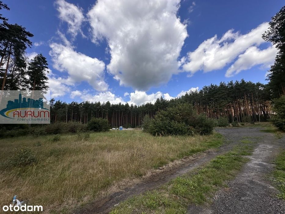 Działka 968 m² | 10 min od Zielonej Góry - Widok 4
