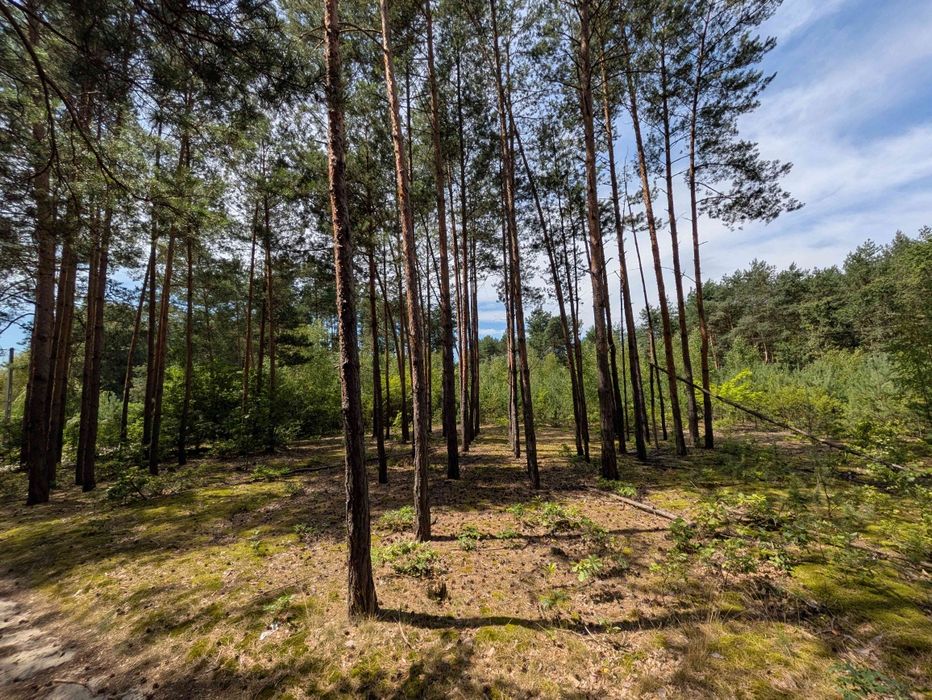 Sprzedam działkę budowlaną - Grzybów okolice Mielca