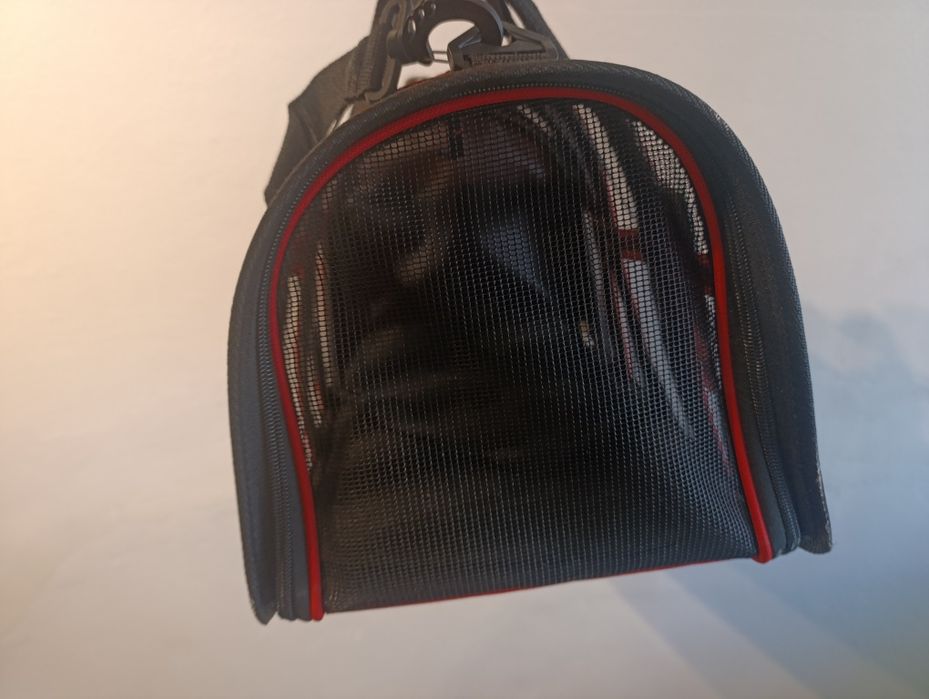 Transportadora para gatos