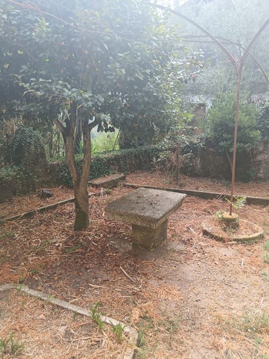 Casa para Restauro Cinfães Douro