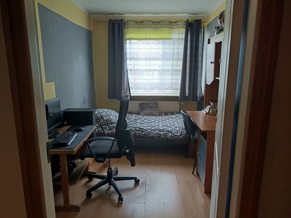 Zdjęcie 5