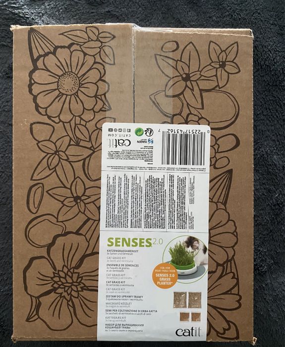 Erva para gato / Cat grass