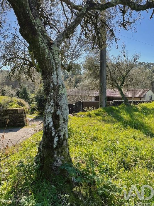 Terreno Agrícola em Montaria