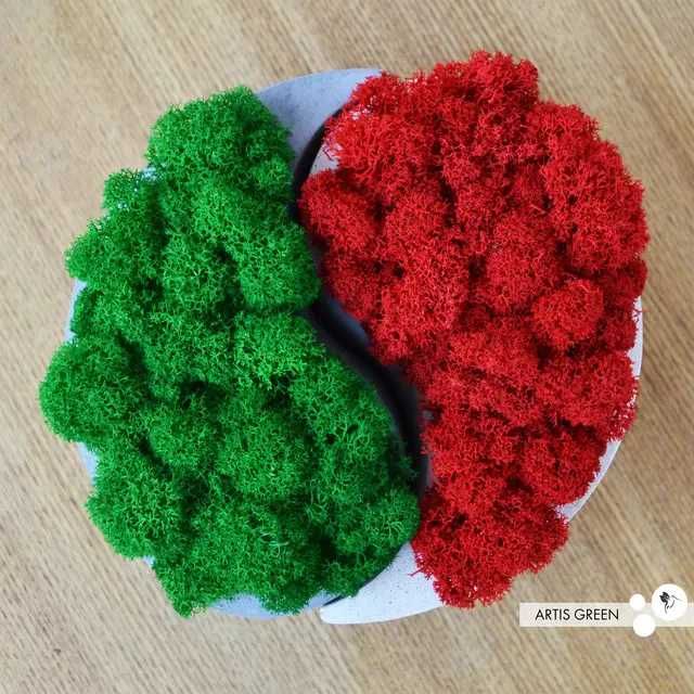 Знижка 50% Подарунок з яскравим мохом інь-янь