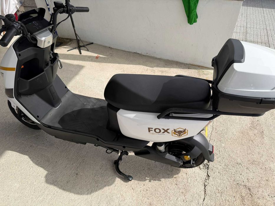 Mota Eletrica Fox Goose