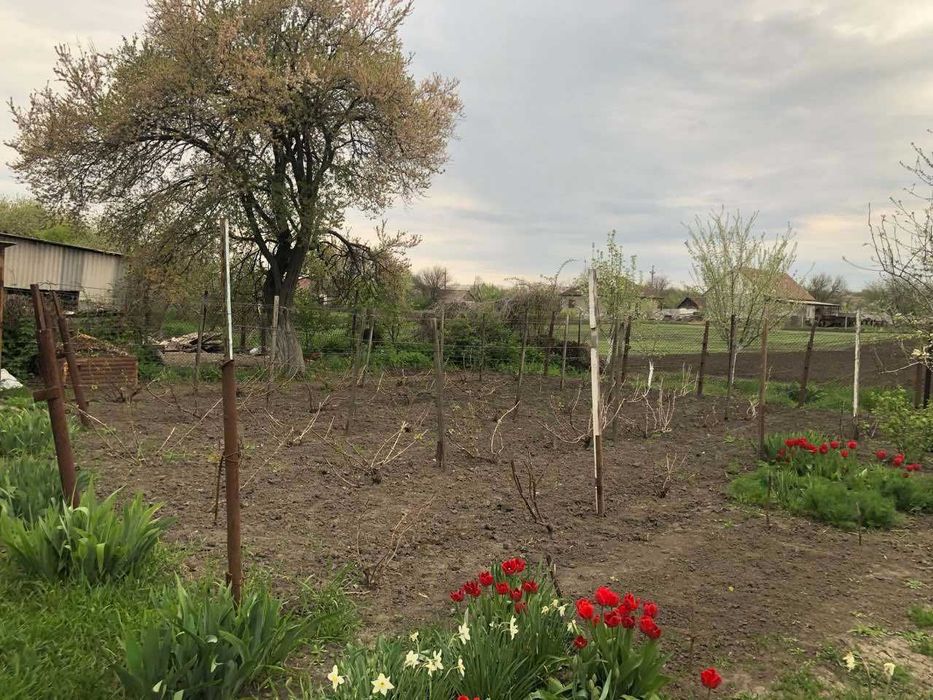 Газифікований цегляний будинок 200 м² + 33 сотки. Очеретувате