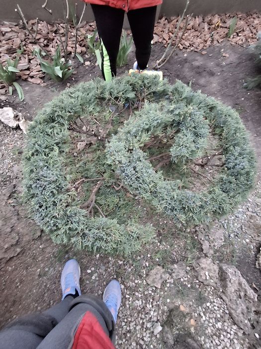 Ландшафтний дизайнер