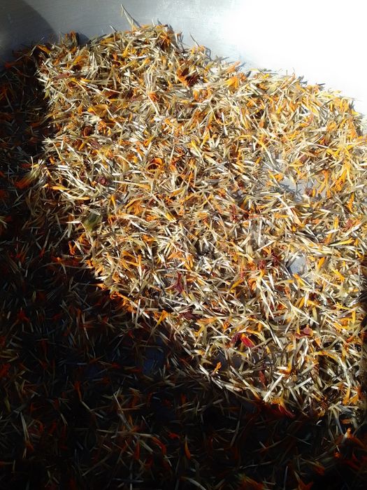 Чорнобривці матусині квіти