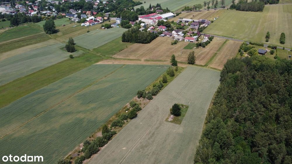 Działki z WZ pod dom | 1,1-2,25 ha | las | Wodynie - Więcej