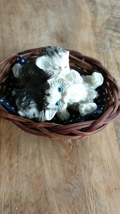 Kotki w wiklinowym koszu