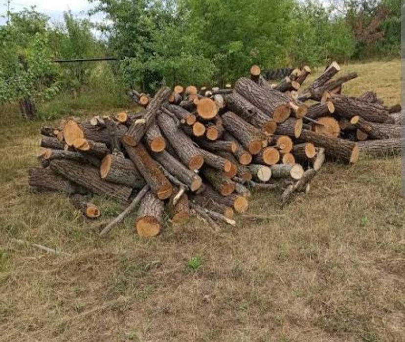 дрова дуб, береза, вільха, якісний товар, точний об’єм, безкоштовна доставка і вигрузка, оплата при отриманні 1/40 м3