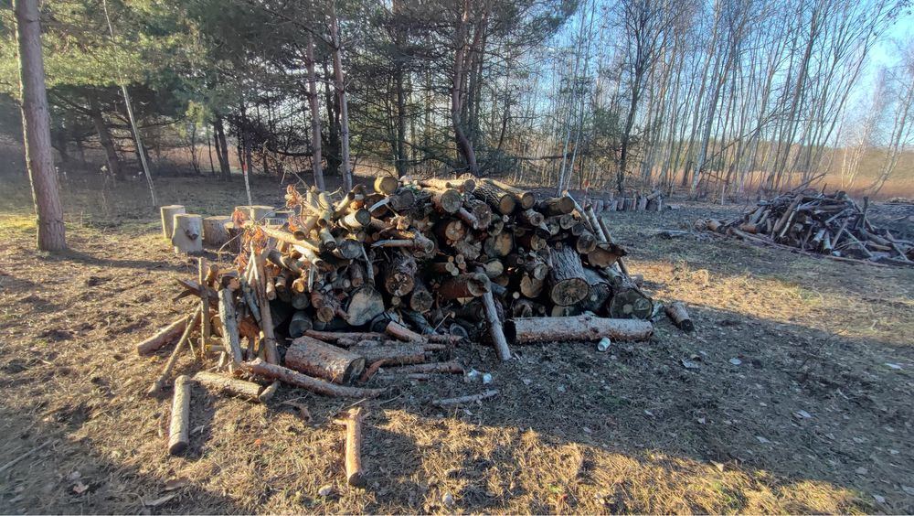 Drewno 400 zł za całość
