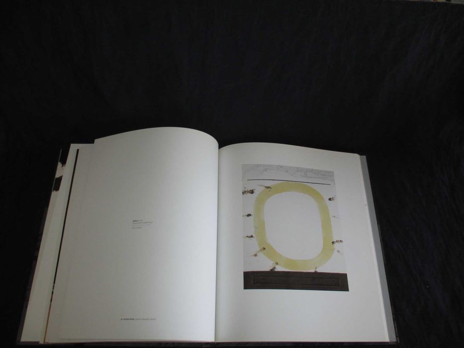 Livro Tàpies Galeria Fernando Santos