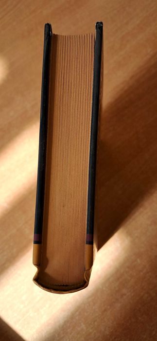 Winda widmo Lemony Snicket