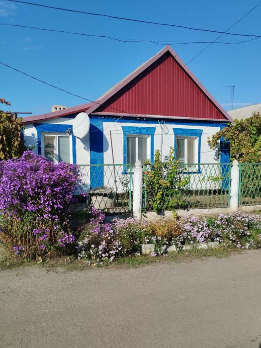 Продам дім в центрі міста Апостолове