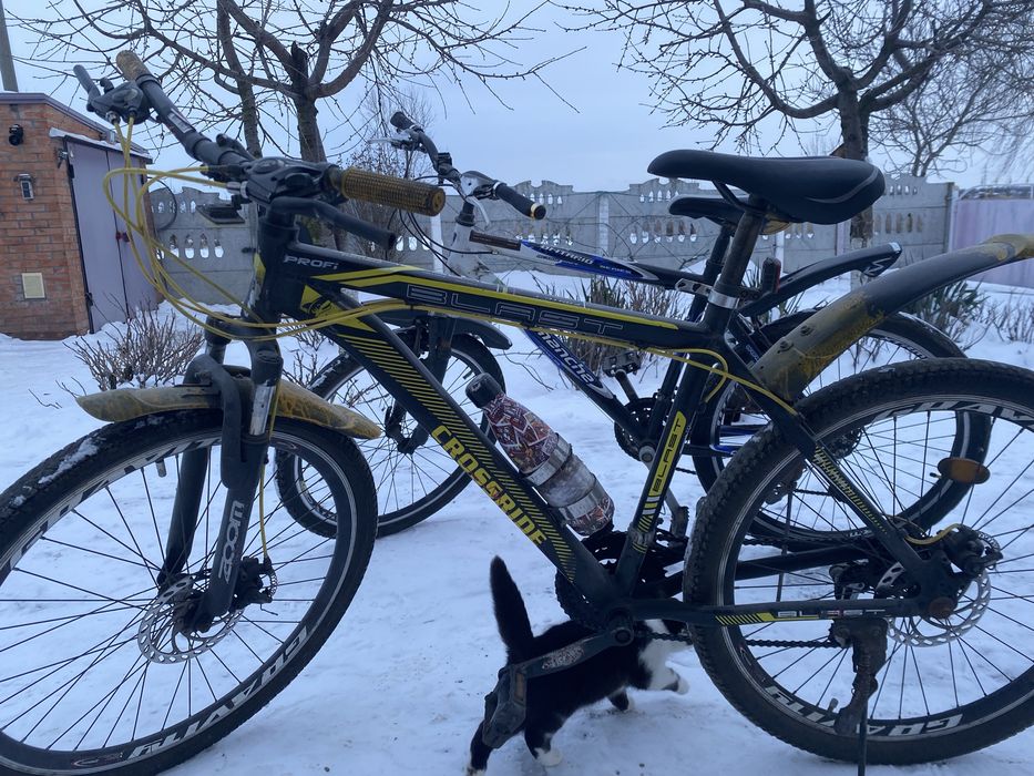 2 спортивні велосипеди