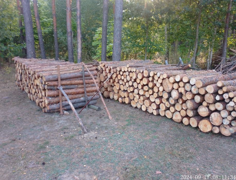 Drewno opałowe, kominkowe, sosna, opał, papierówka - 140 zł/mp