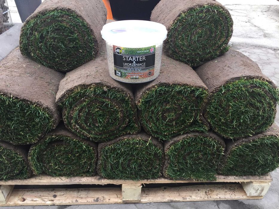 Trawa z rolki trawnik w rolkach trawniki rolowane. Gotowy trawnik.