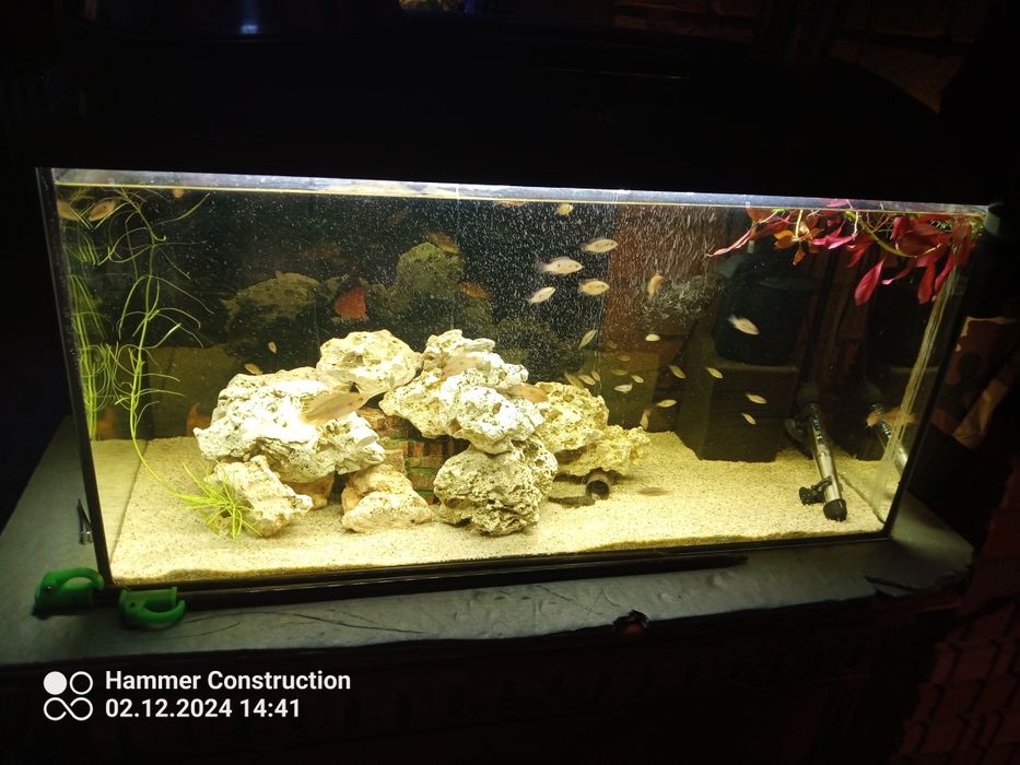 Akwarium 54 l  cały zestaw