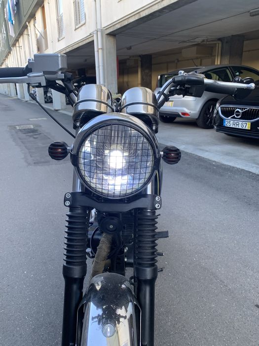 Mash black seven 125