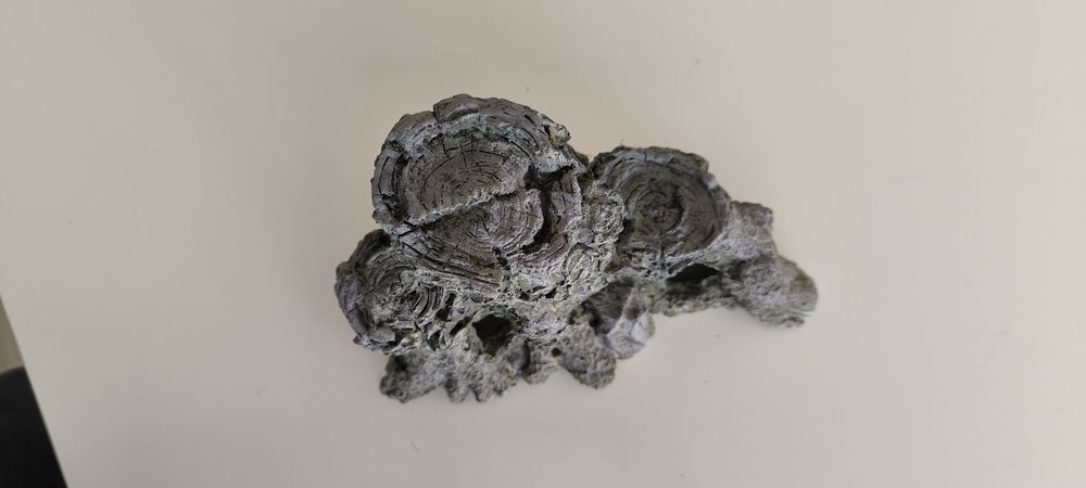 Decoração de aquário