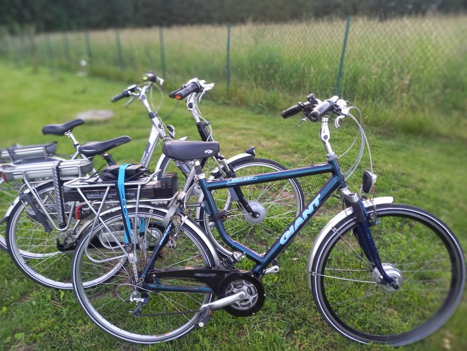 Rowery elektryczne sparta gazella,batavus,Stella,cortina