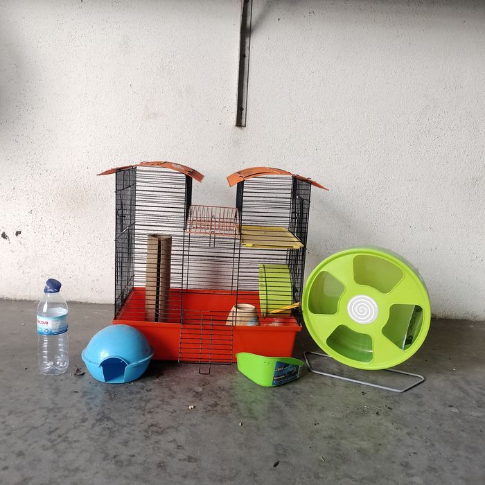 Gaiola coelho/outros roedores