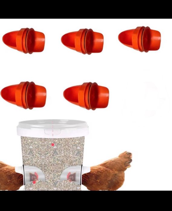 4 Comedor galinhas novos