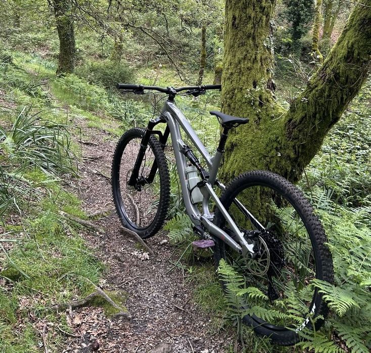 Cannondale habit 3 2023