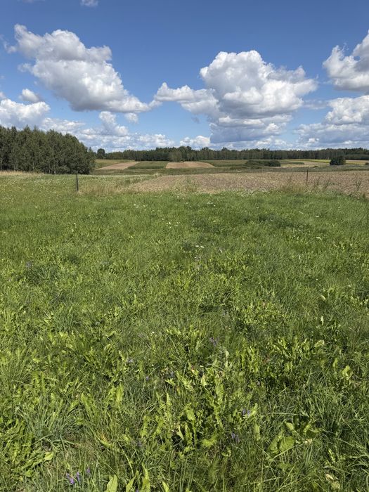 Działka Rekreacyjna Podlasie Reduty