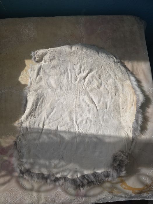 Продам кролячі шкурки