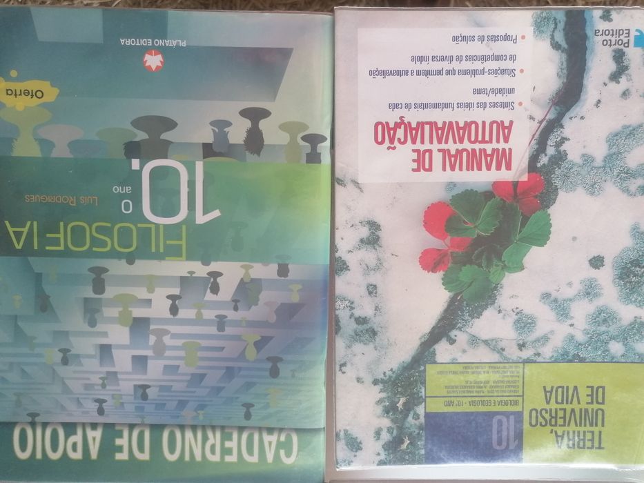 Cadernos de Atividades - 10.º Ano - como novos