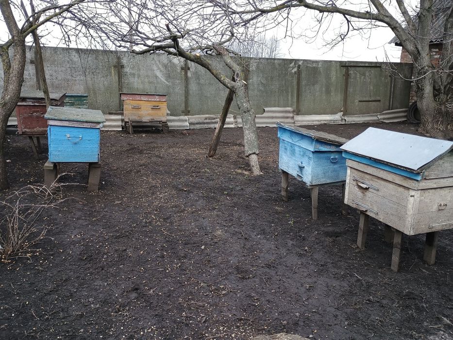 Вулики 6шт улики