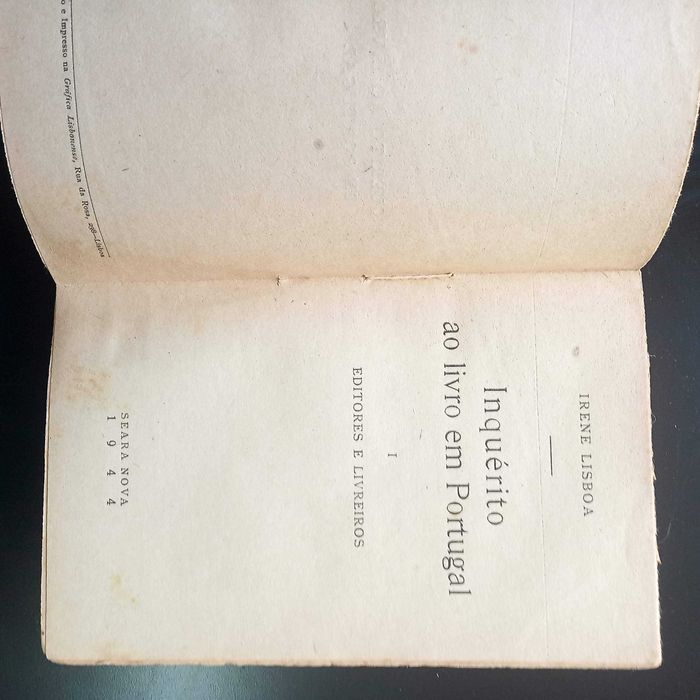 Inquérito ao livro em Portugal I de Irene Lisboa