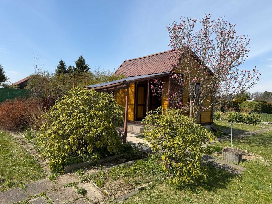 Działka rekreacyjna w ROD Falkowa (Nowy Sącz)