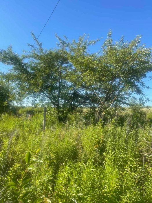 Продам земельну ділянку с.Порозове (0.15 га)