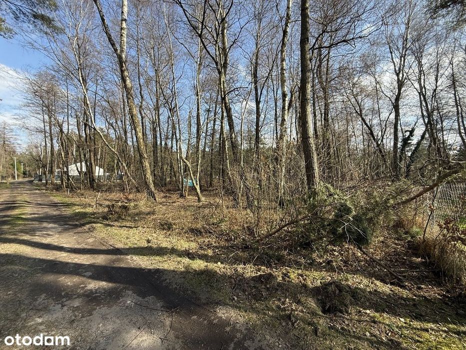Działka budowlana,1437 m²,Rydzynki,ul.Żabia,łódzkie - Więcej