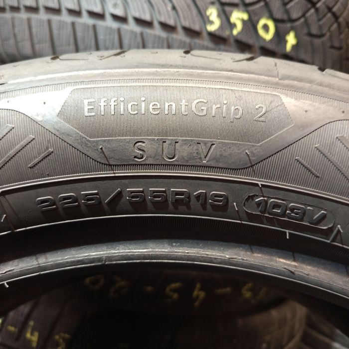225/55R19 Goodyear Efficient Grip 2 SUV