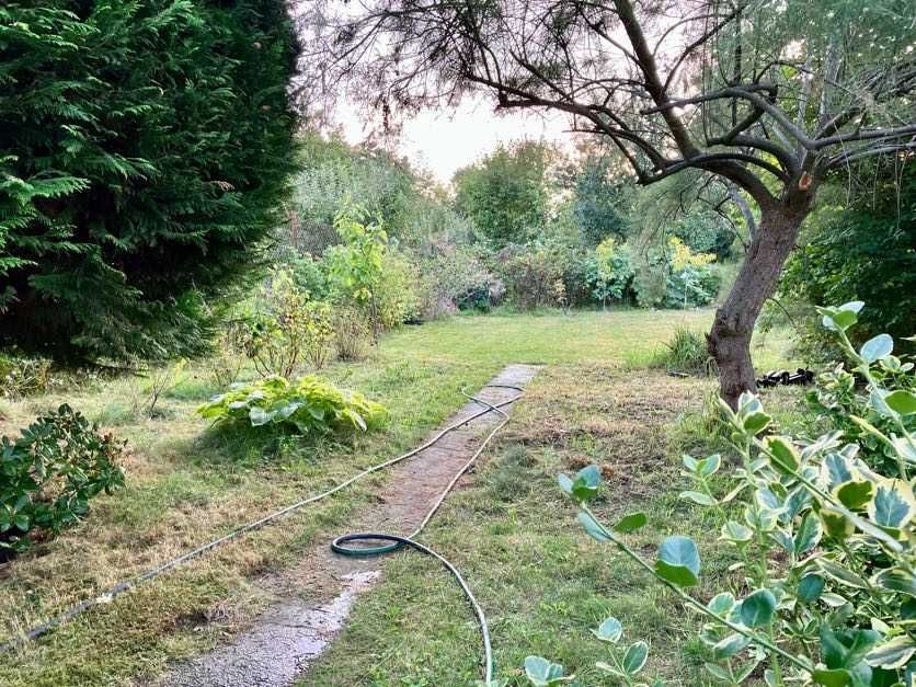 Sprzedam prawo do działki ROD – Warszawa Wilanów | ROD Wilanów II | 300 m² || 38 500 zł - Więcej