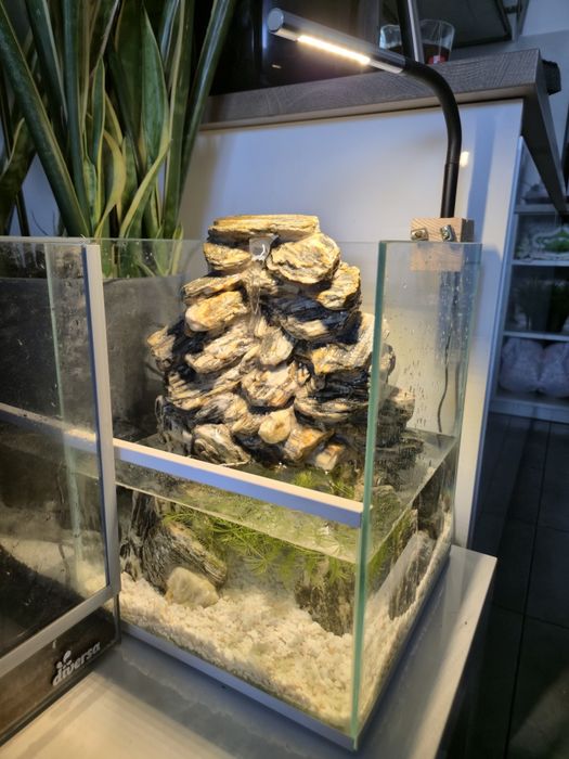 Paludarium, akwarium, wodospad z łupka.
