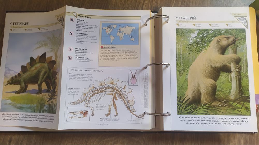 Енциклопедія У світі дикої природи,  Мир на ладоне