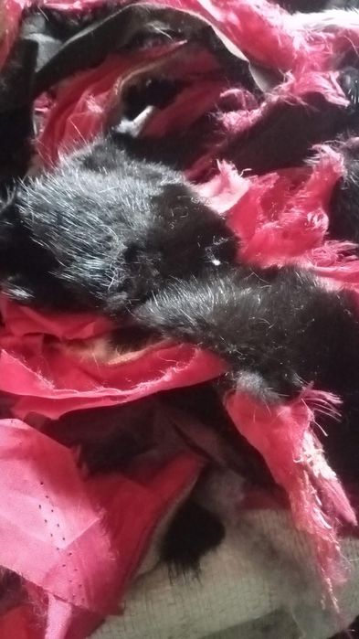 Хутор натуральне