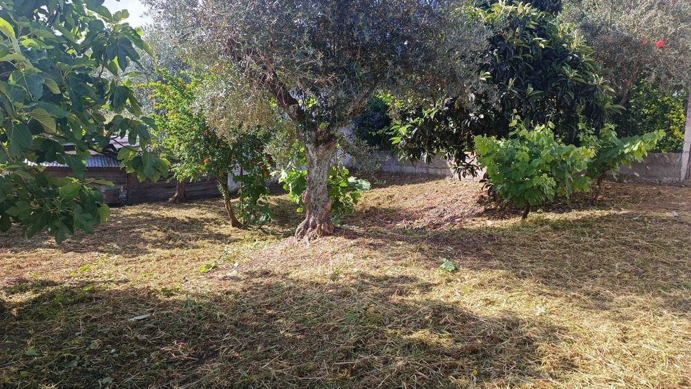 Terreno Urbano para Construção