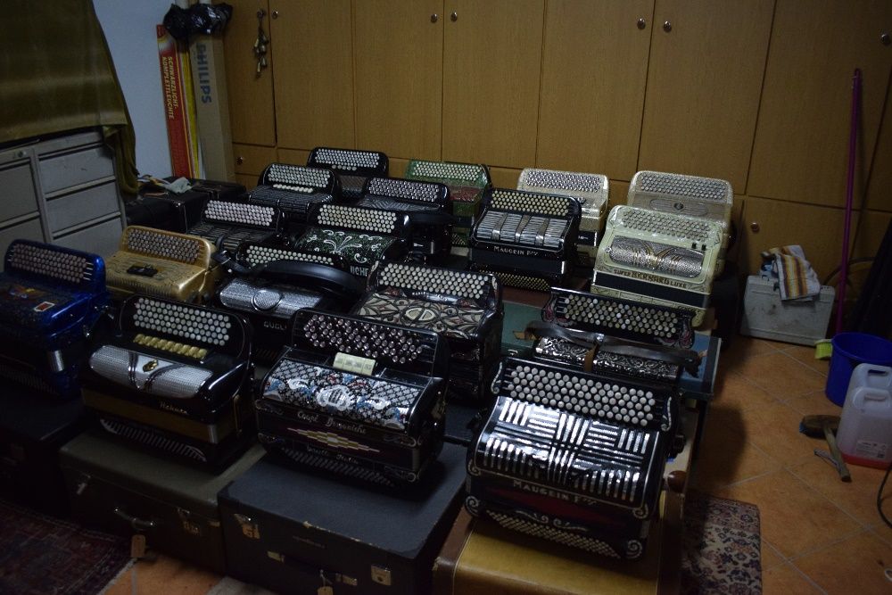 Accordion from Various Brands and Prices64173095834369121