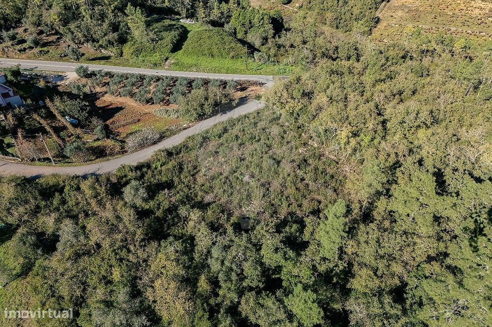Terreno  para venda