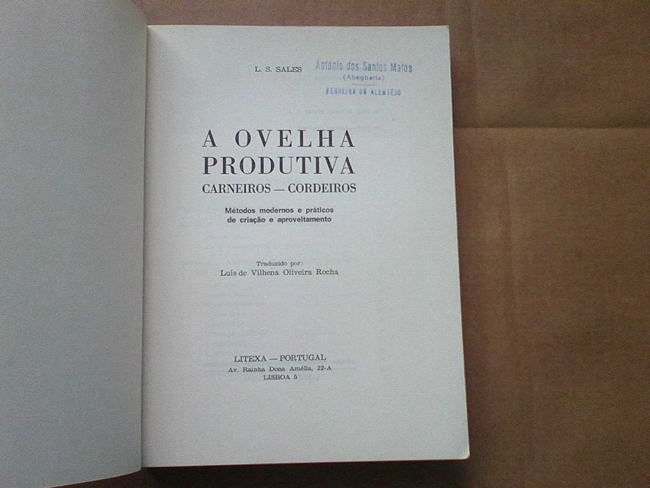 Ovelha criaçao Carneiros cordeiros - conjunto