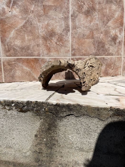 Cortiça para Terrário/Aquário - Mais informações dm